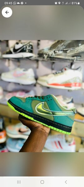 Nike SB Dunk low