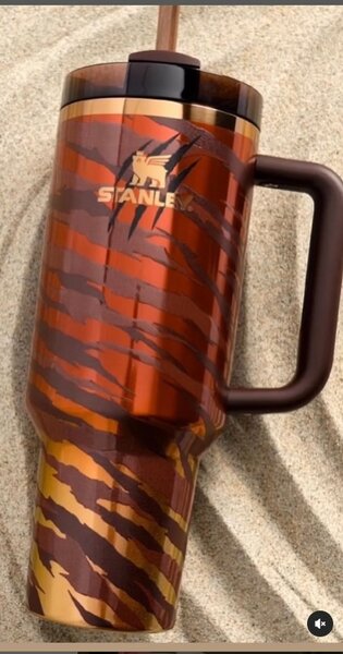 Best collabo Tyla x Stanley cup