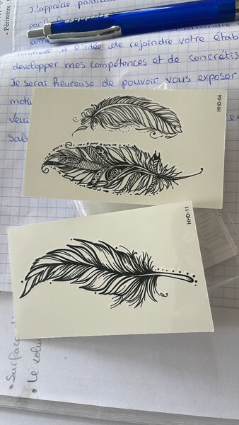 Tatouages temporaires papillons