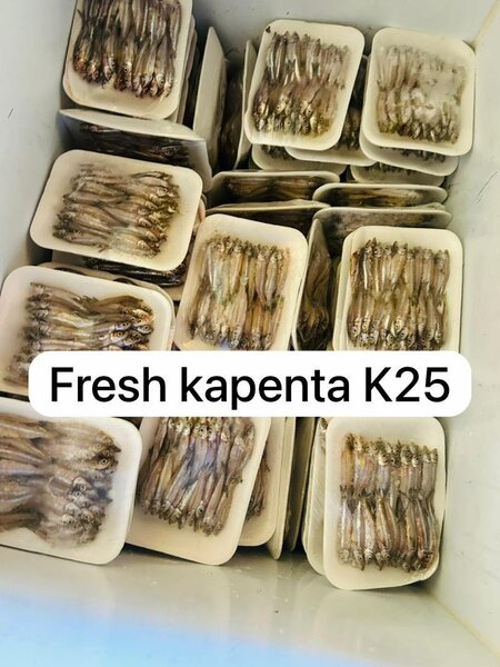 Fresh itezhi tezhi kapenta