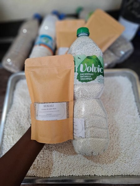 Grains de mil / Grains de maïs