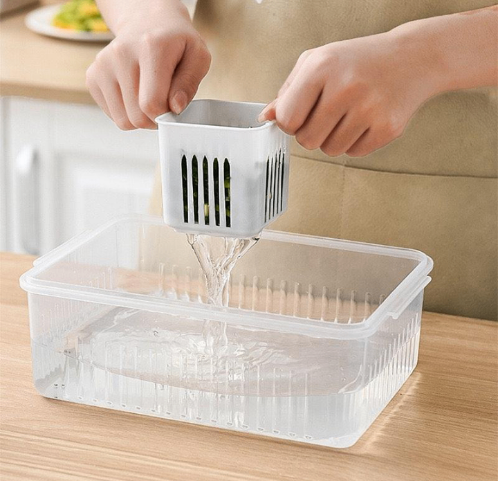 6 Grib Food Storage Container (DC Free)