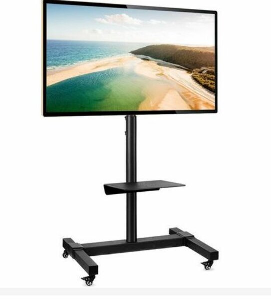 Mobile tv stand