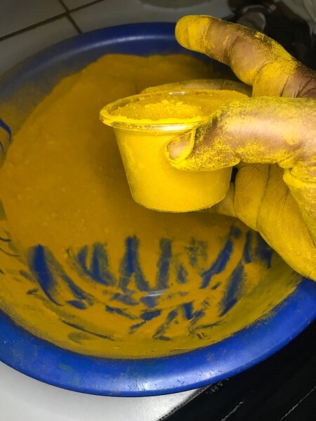 Poudre de curcuma bio