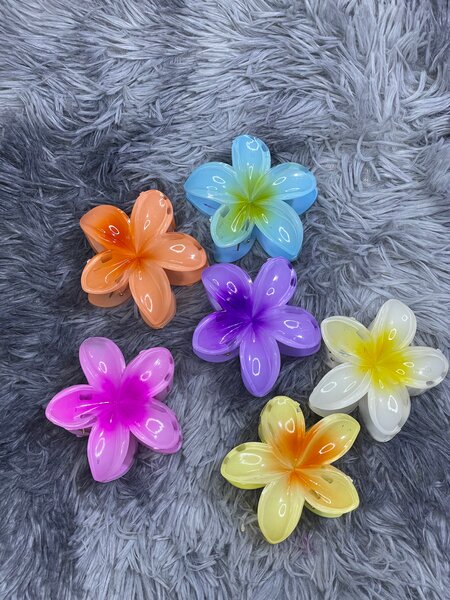 Pinces à cheveux fleurs colorées