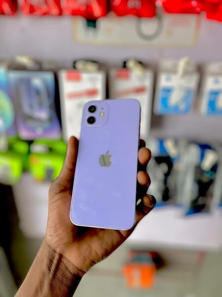 iPhone 12 Violet - Éclat