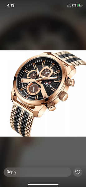 Wrist watch stainless