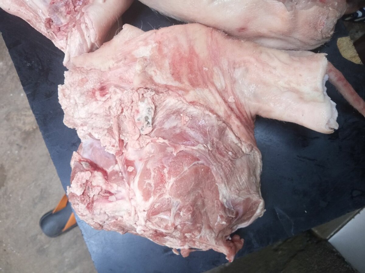 Viande de porc africain