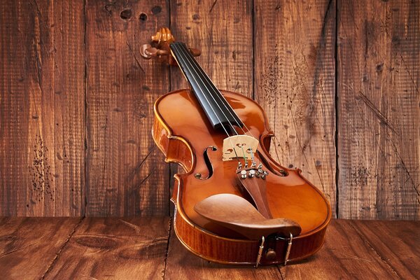Violon 3/4 Premier England