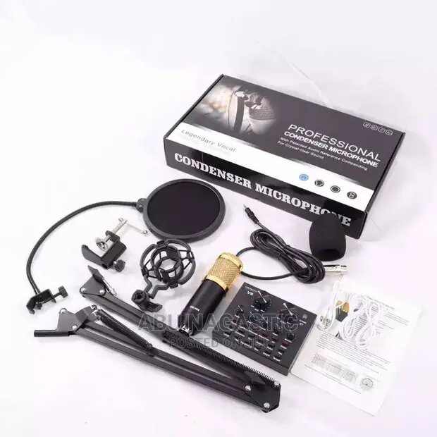Professional condenser mic