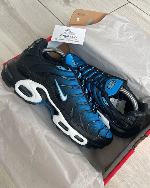 Nike Tn Air Max bleues