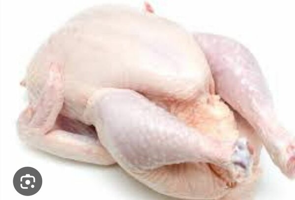 Poulet entier frais