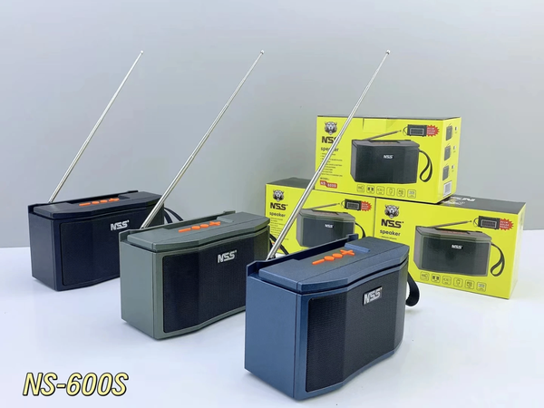 Radio Portable NS-600S
