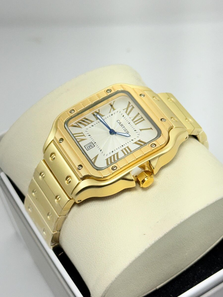 Montre de luxe en acier inoxydable