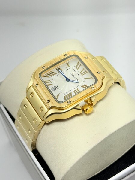 Montre de luxe en acier inoxydable