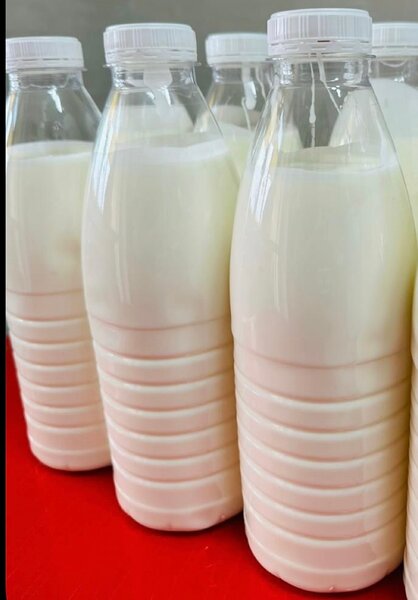Lait frais en bouteille 1,5l