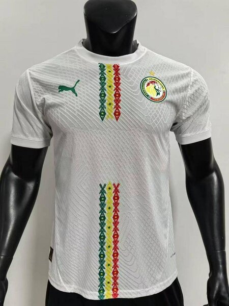 Maillot Puma Sénégal homme