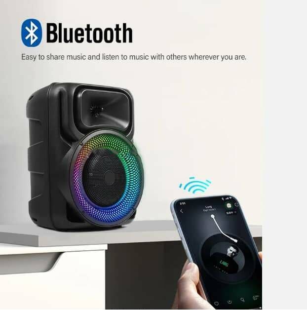 Haut-parleur bluetooth rechargeable avec microphone sans fil