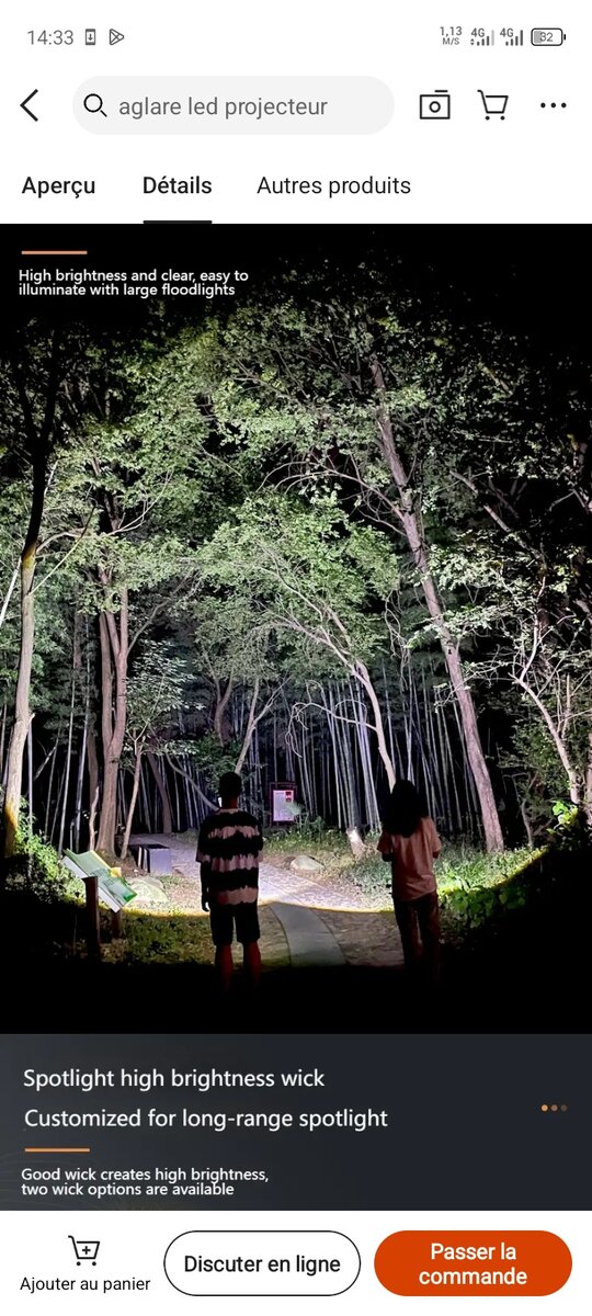 Torche LED haute puissance 300