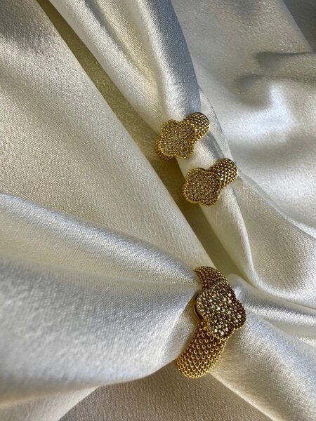 Жессика ван лиз