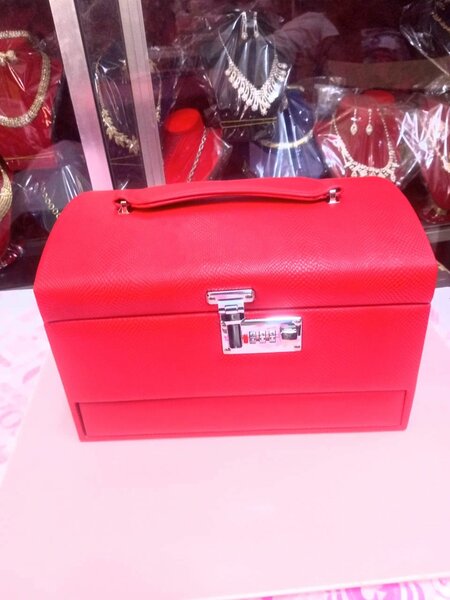 Makeup bag and beauty cases