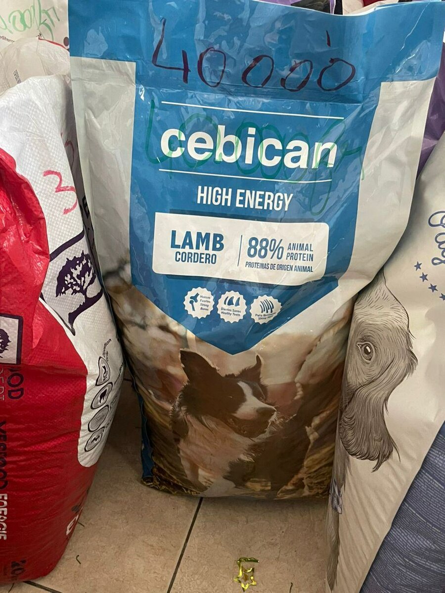 Cebican High Energy Lamb