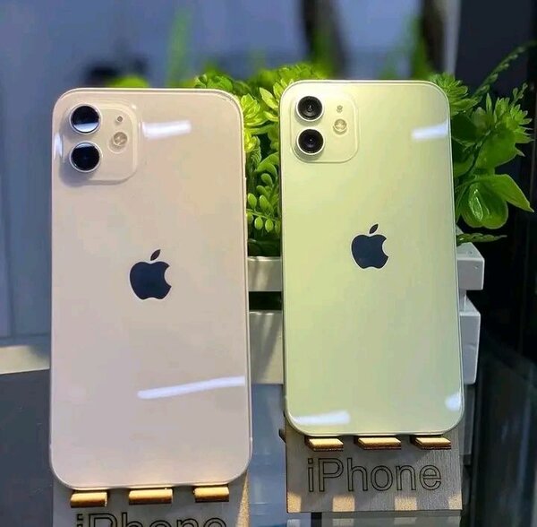 iPhone 12 - Double Couleur