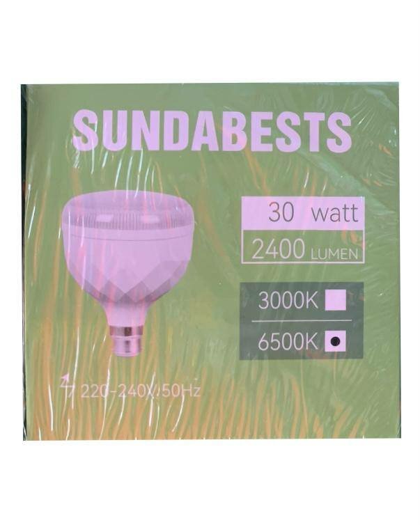 Ampoule LED 30W Sundabests