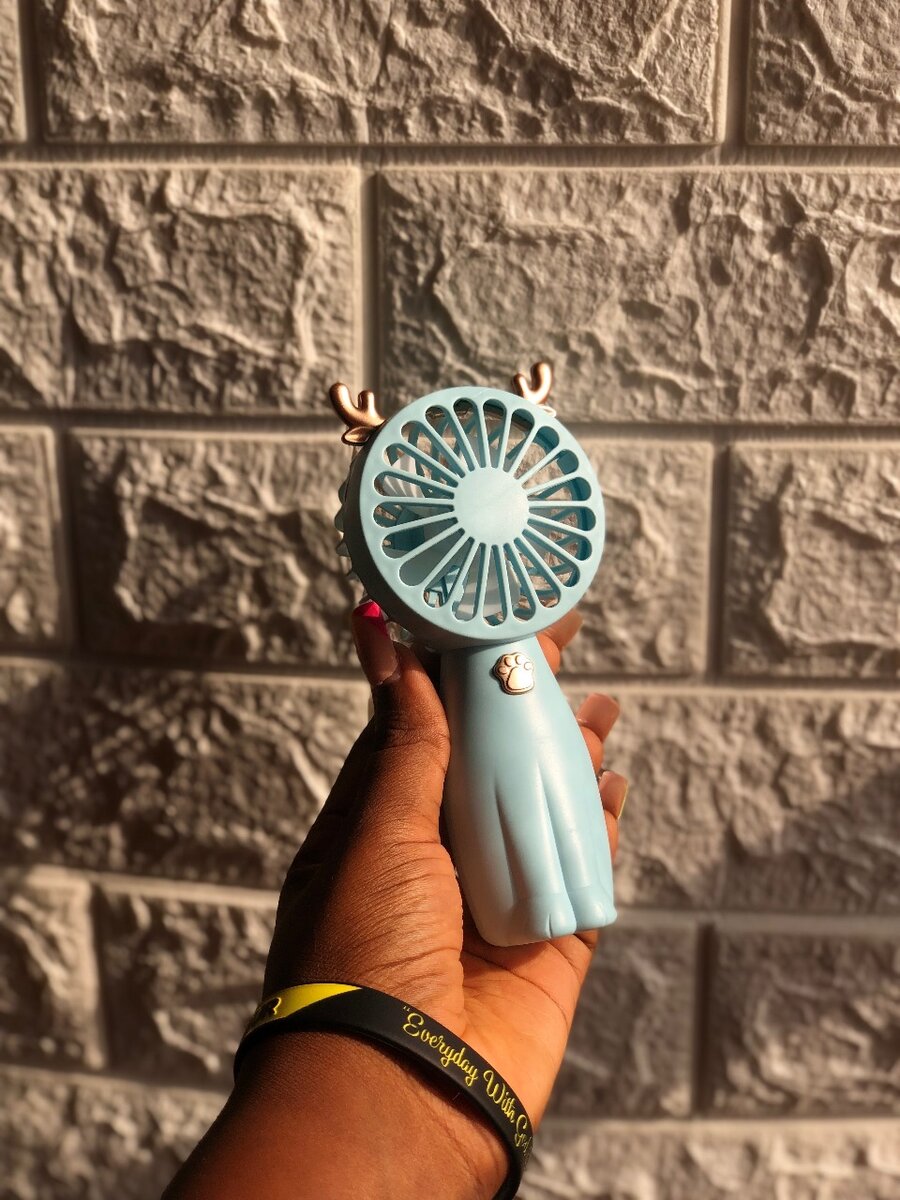 Handheld mini fan