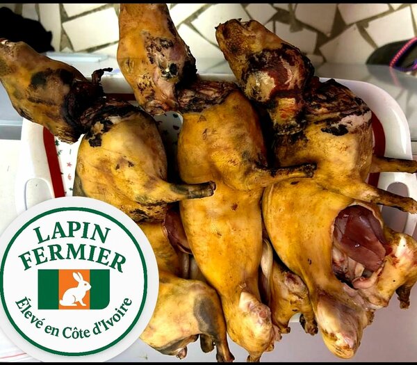 Lapin Fermier Côte d'Ivoire