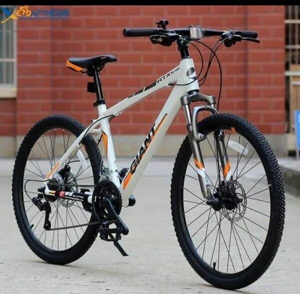 VTT tout suspendu GIANT homme blanc