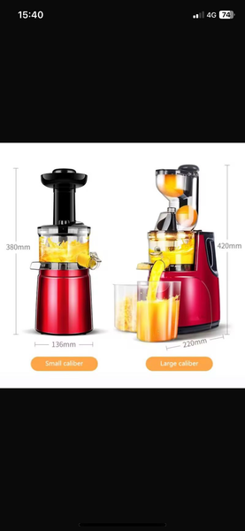 Extracteur de Jus Puissant
