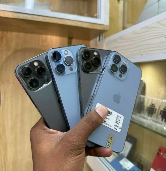 Apple iPhone 13 Pro Max