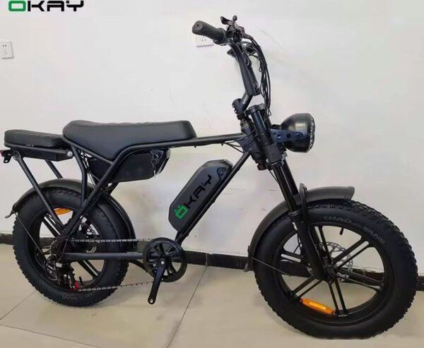 Vélo électrique tout-terrain puissant