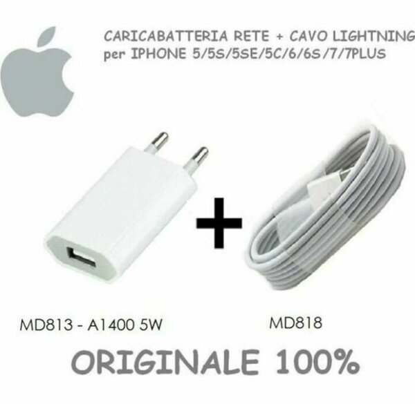 Chargeur original iPhone 5W