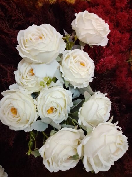 Bouquet de roses blanches
