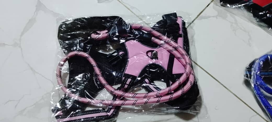 Harnais Rose pour Chiens