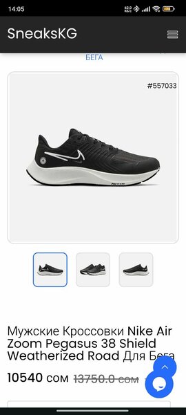 Мужские кроссовки Nike Air Zoom Pegasus 38 Shield