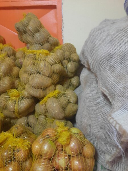 Pommes de terre fraîches