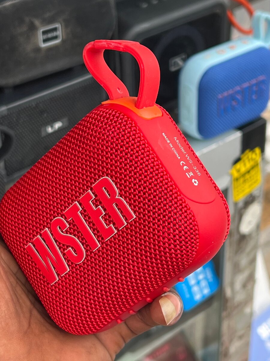 Wster Portable Bluetooth Speaker