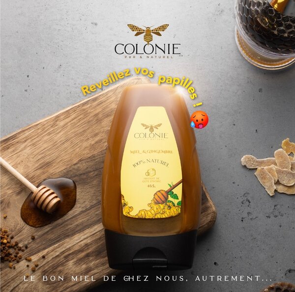 MIEL & GINGEMBRE - 485G