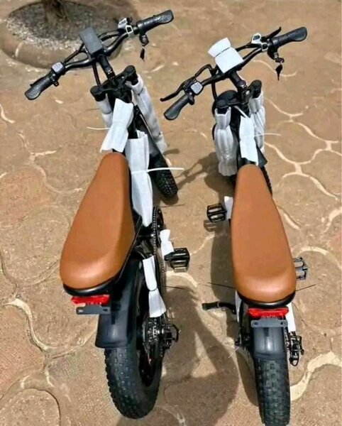 Vélo Électrique Pliable Tout-Terrain