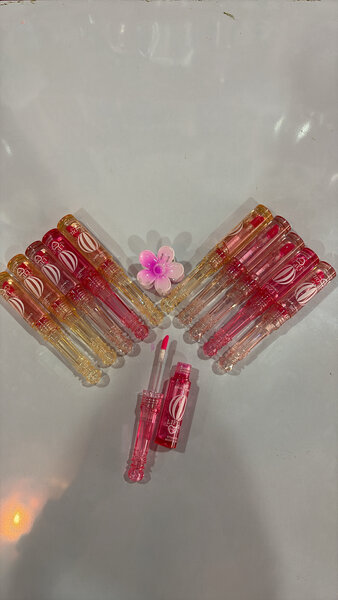 Coffret de Brillants à Lèvres