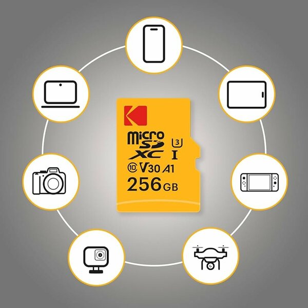 Carte mémoire Kodak 256 giga