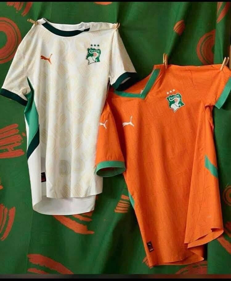 Mallot de côte d'ivoire