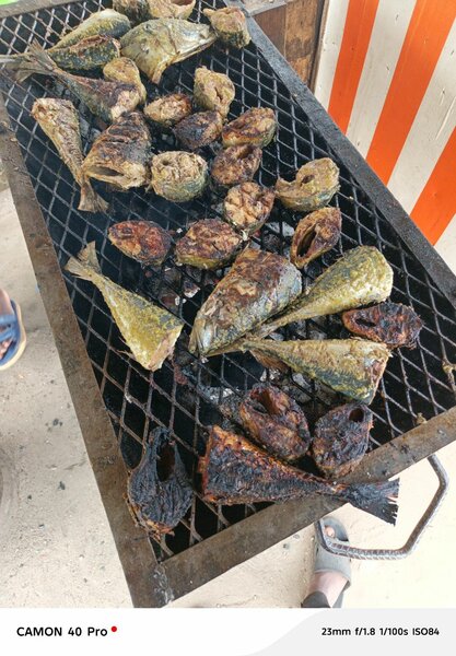 Poisson Grillé
