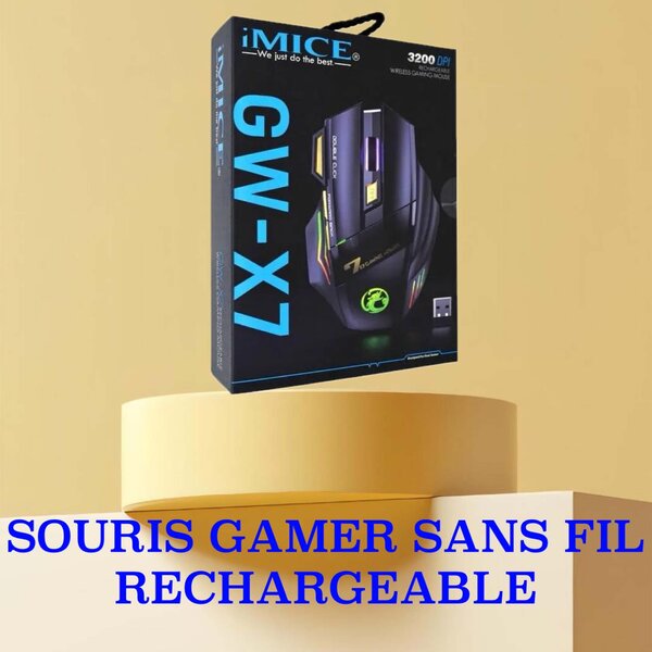 Souris Gamer Sans Fils Rechargeable