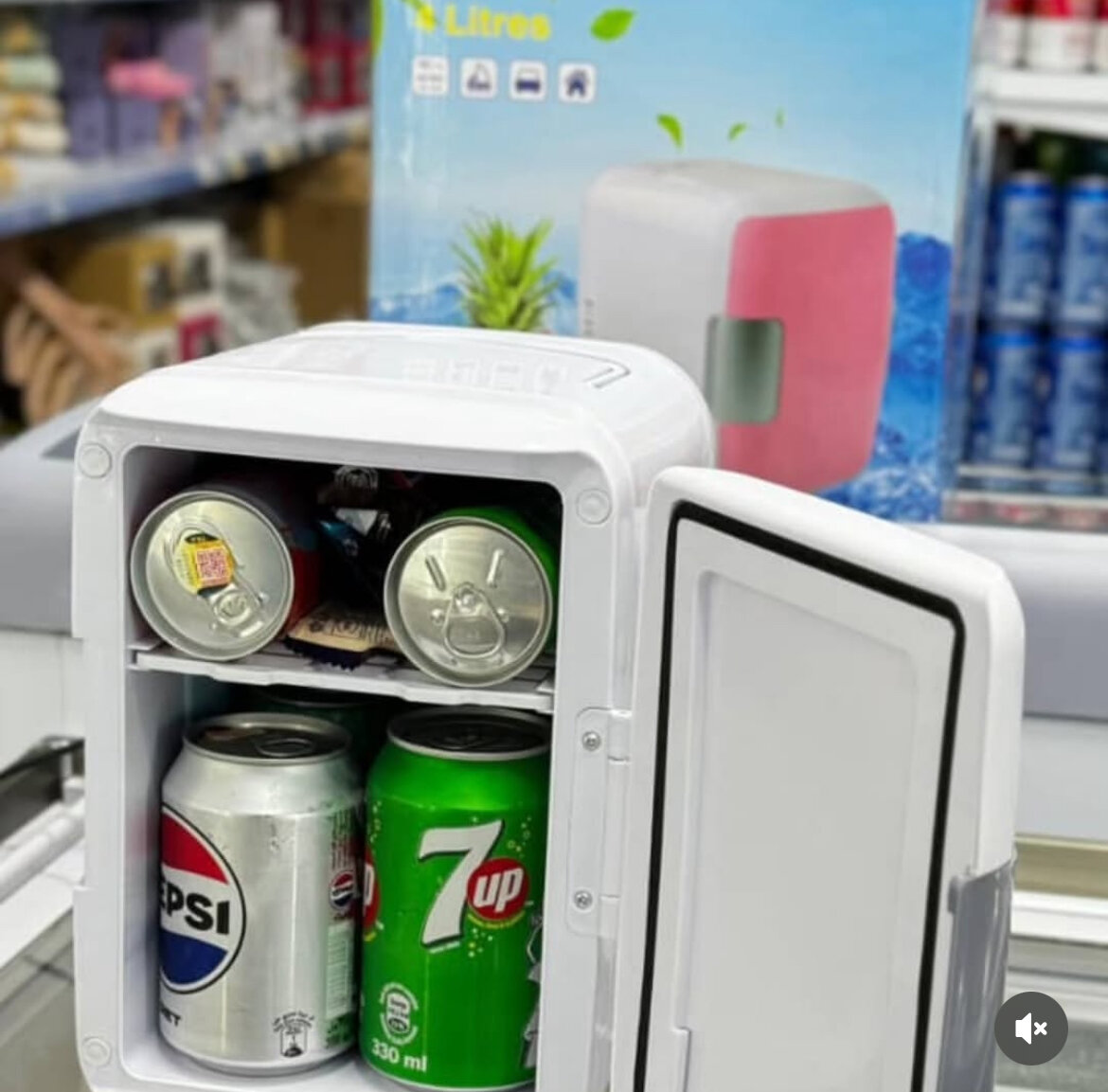 Mini Réfrigérateur Portable 10L