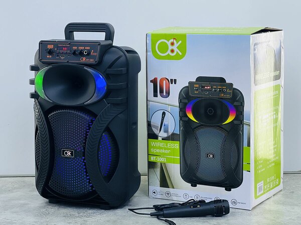 Haut-parleur Bluetooth 10'' portable