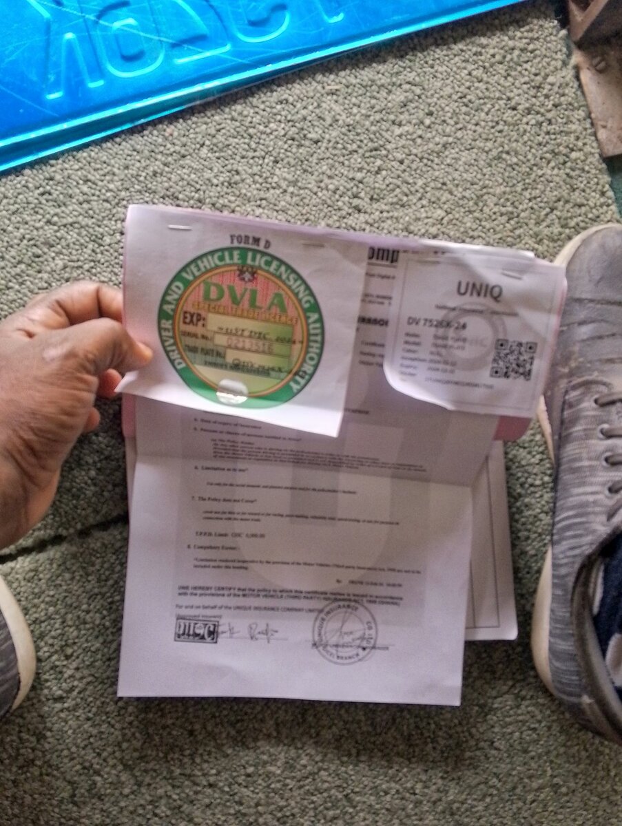 Dv plate with insurance